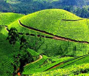 Mysore-to-ooty-Three-Day-Trip