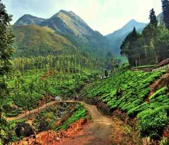 Mysore-to-wayanad-One-Day-Trip